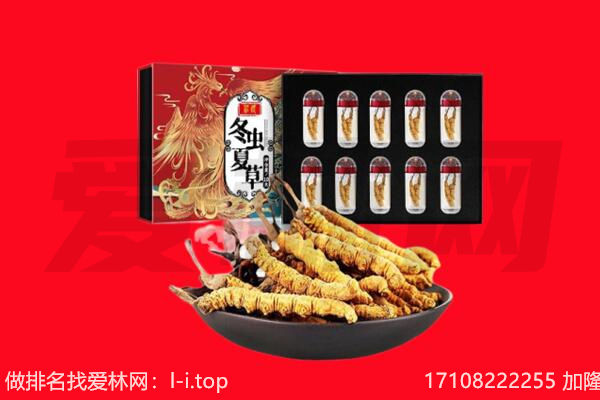 潍坊寒亭区回收虫草.jpg